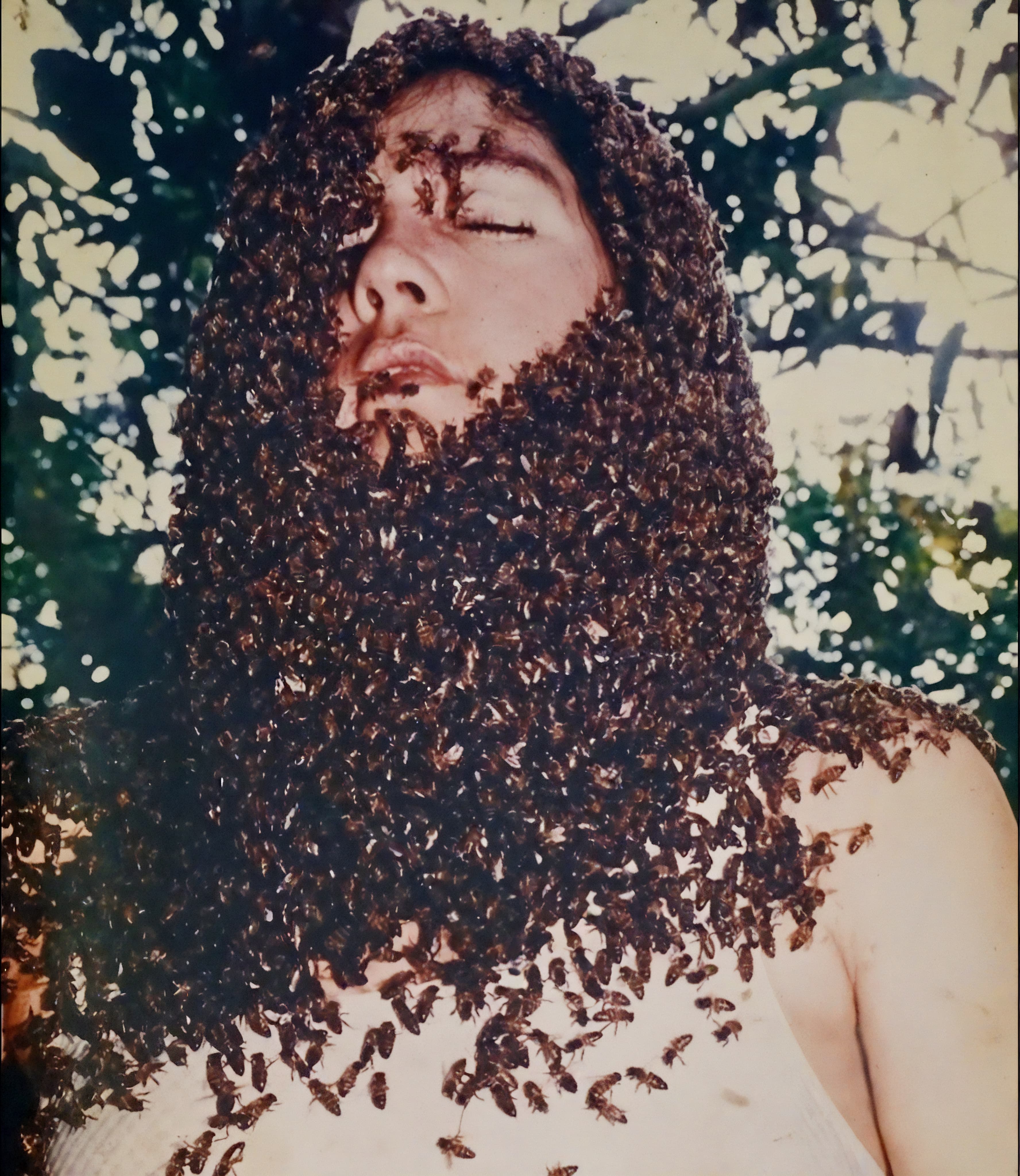 Lucimar com barba de abelhas